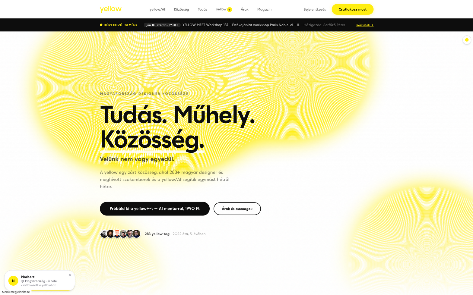 helloyellow.hu — a yellow közösségi platform